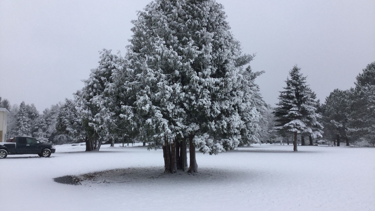 Photo of Outdoor in Ironwood