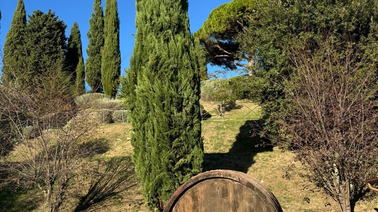 Photo of Outdoor in Bucciano