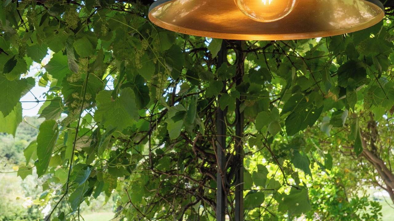 Photo of Outdoor in Canino