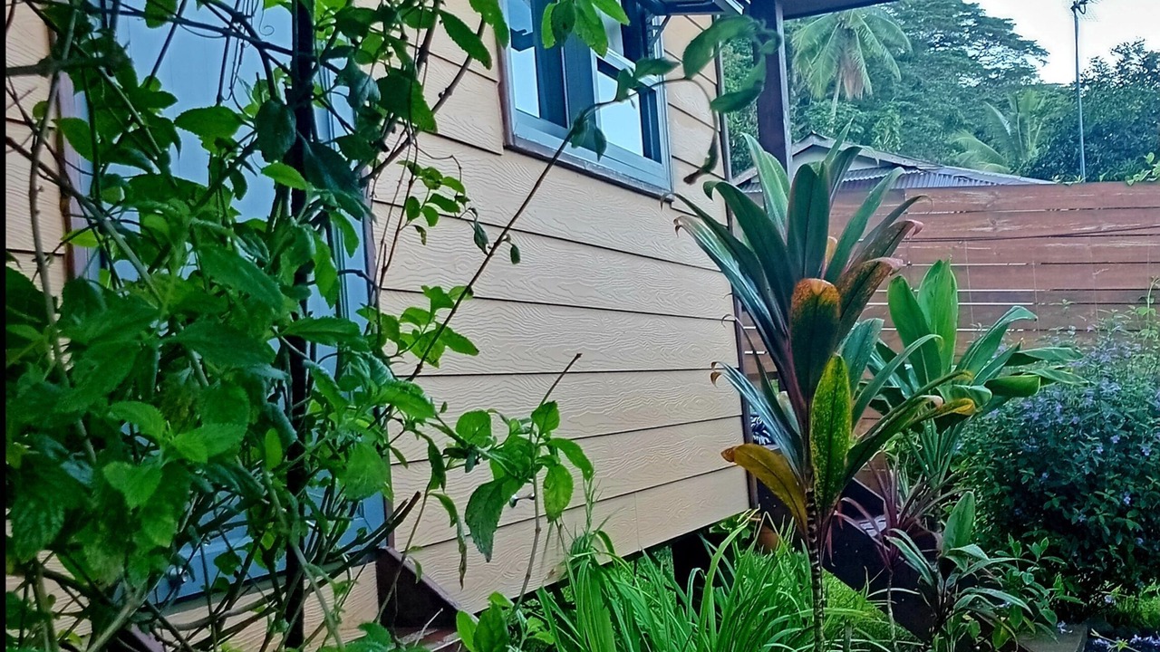 Photo of Outdoor in Taiarapu-Ouest