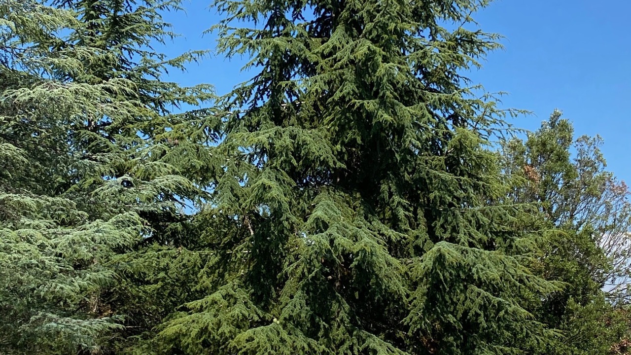 Photo of Outdoor in Cetona