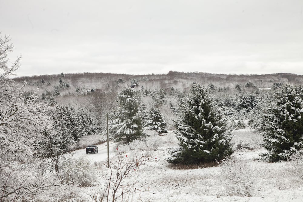 Photo of Outdoor in Alden