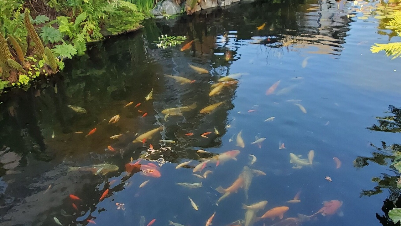 Photo of Outdoor in Eureka