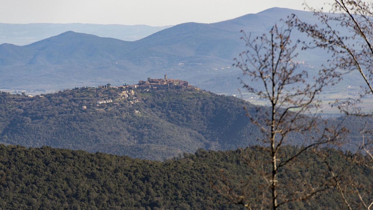 Photo of Others in Gavorrano