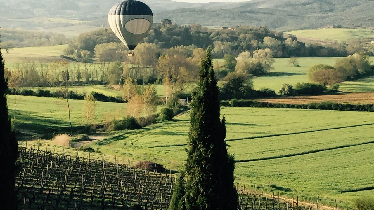 Photo of Outdoor in Buonconvento