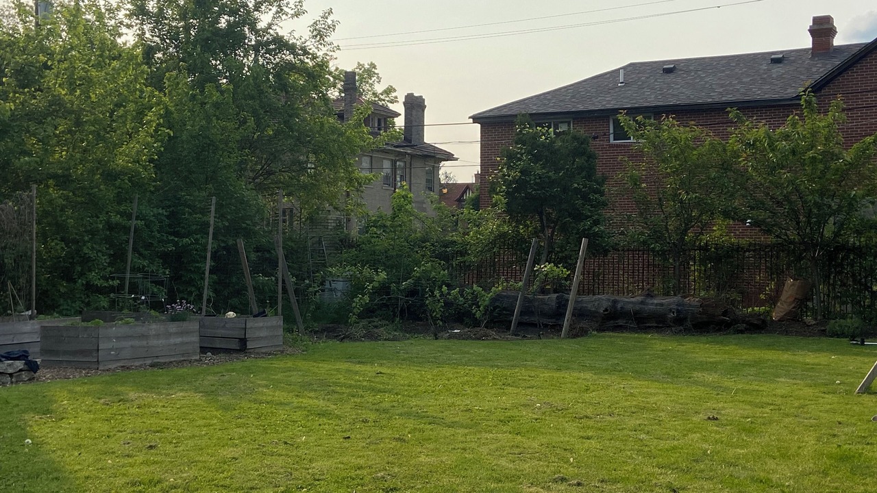 Photo of Outdoor in Detroit