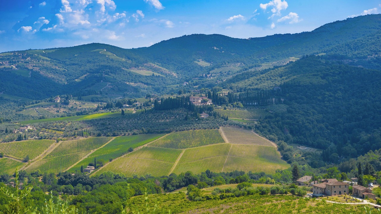 Photo of Others in Greve in Chianti