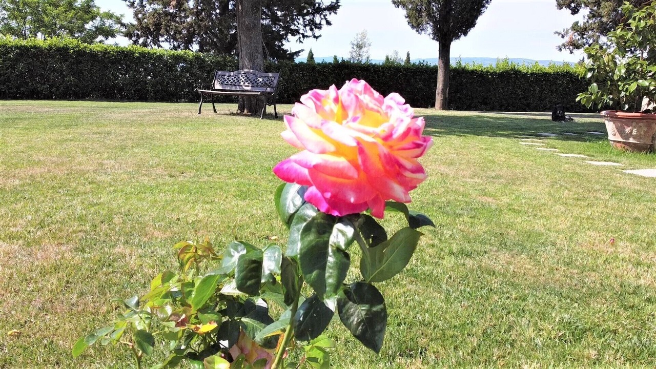 Photo of Outdoor in Montespertoli
