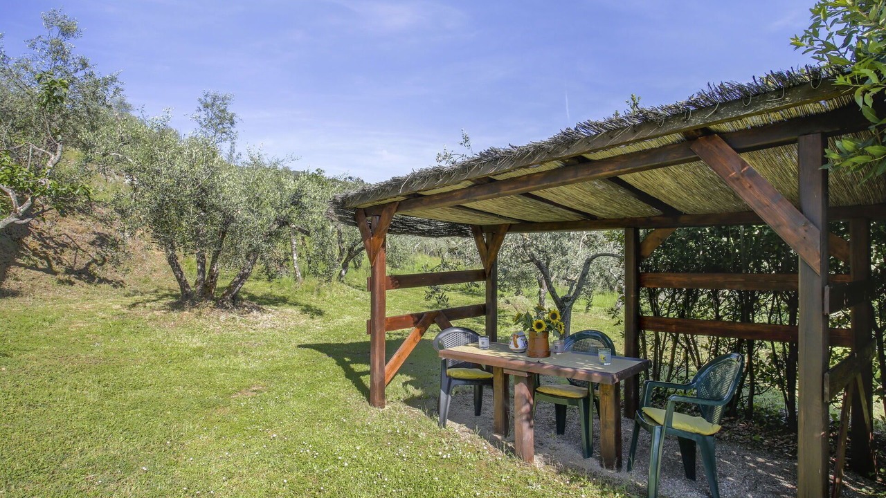 Photo of Outdoor in Castelfranco di Sopra