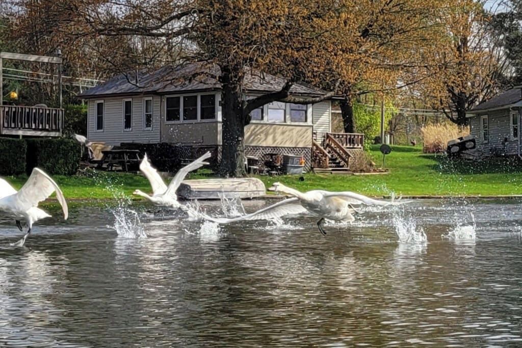 Photo of Outdoor in Paw Paw