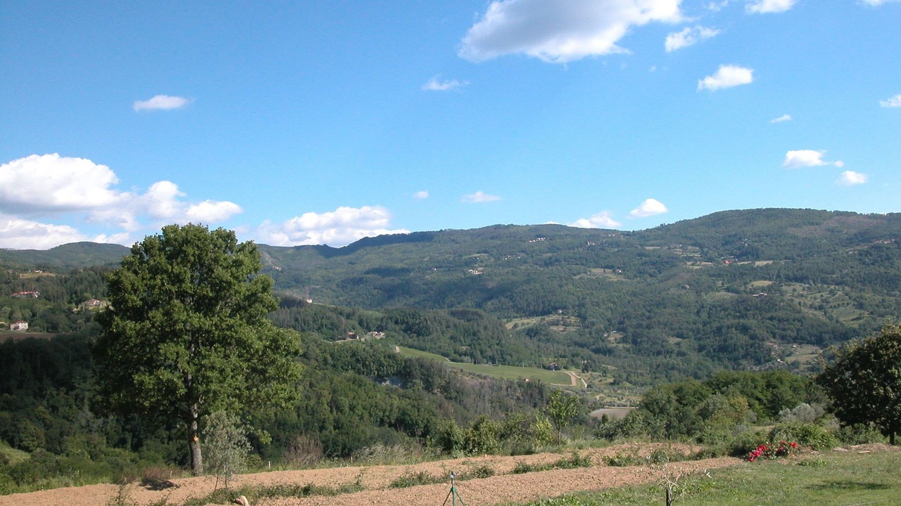 Photo of Others in Petrognano