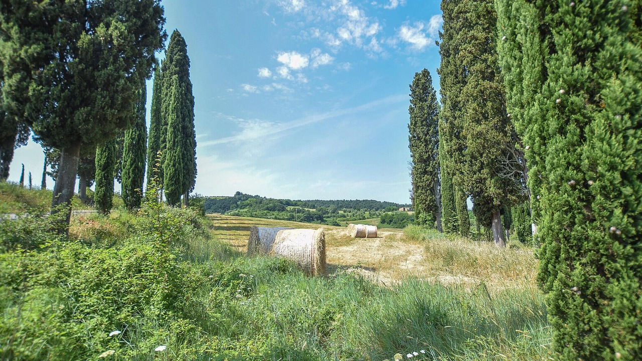 Photo of Others in Montefoscoli