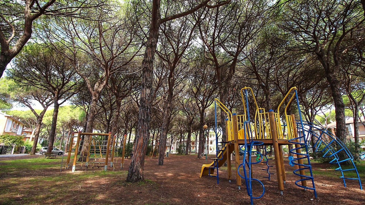 Photo of Others in Marina di Grosseto