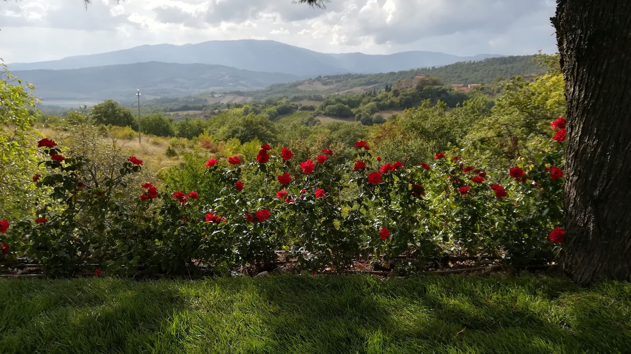 Photo of Outdoor in Gricignano