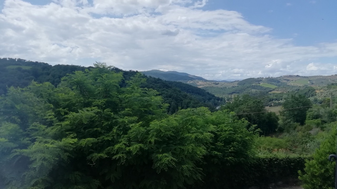 Photo of Others in Lastra a Signa