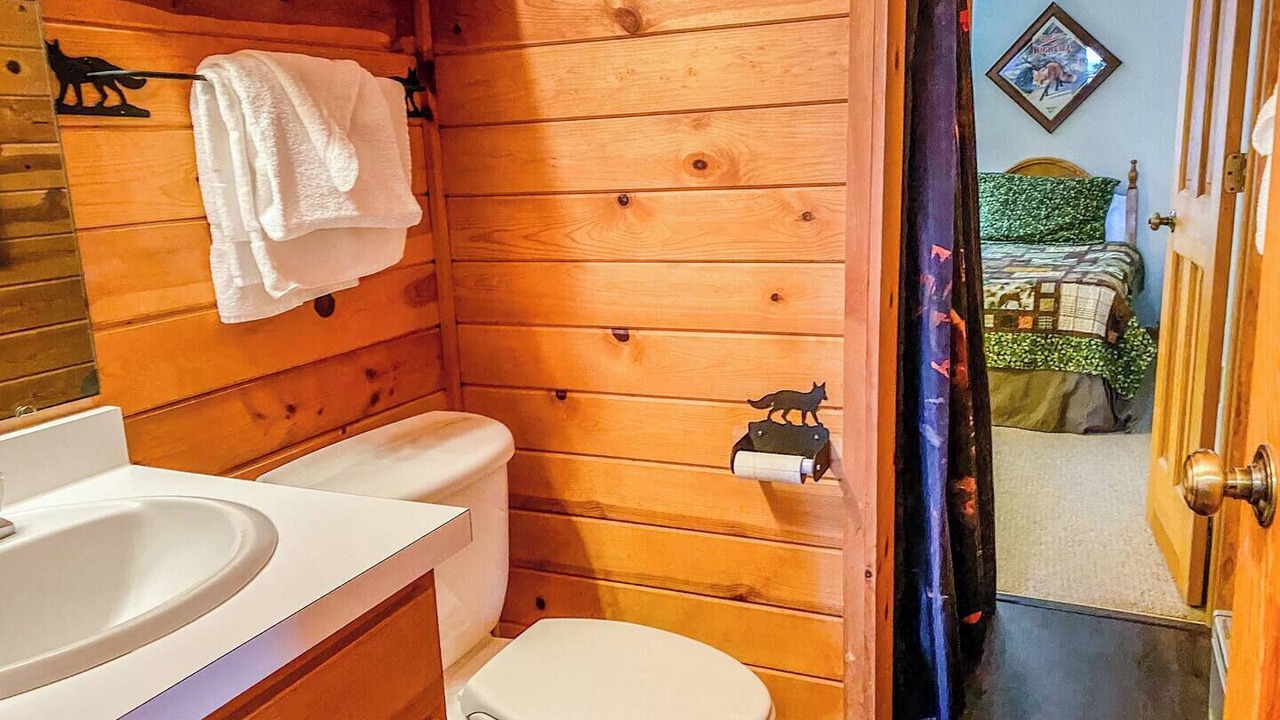 Photo of Bathroom in Bessemer