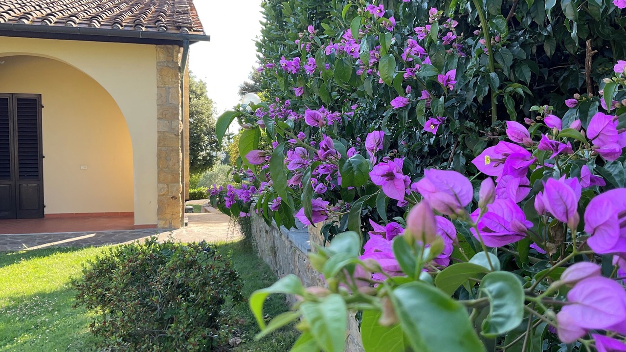 Photo of Outdoor in Tavarnelle Val di Pesa