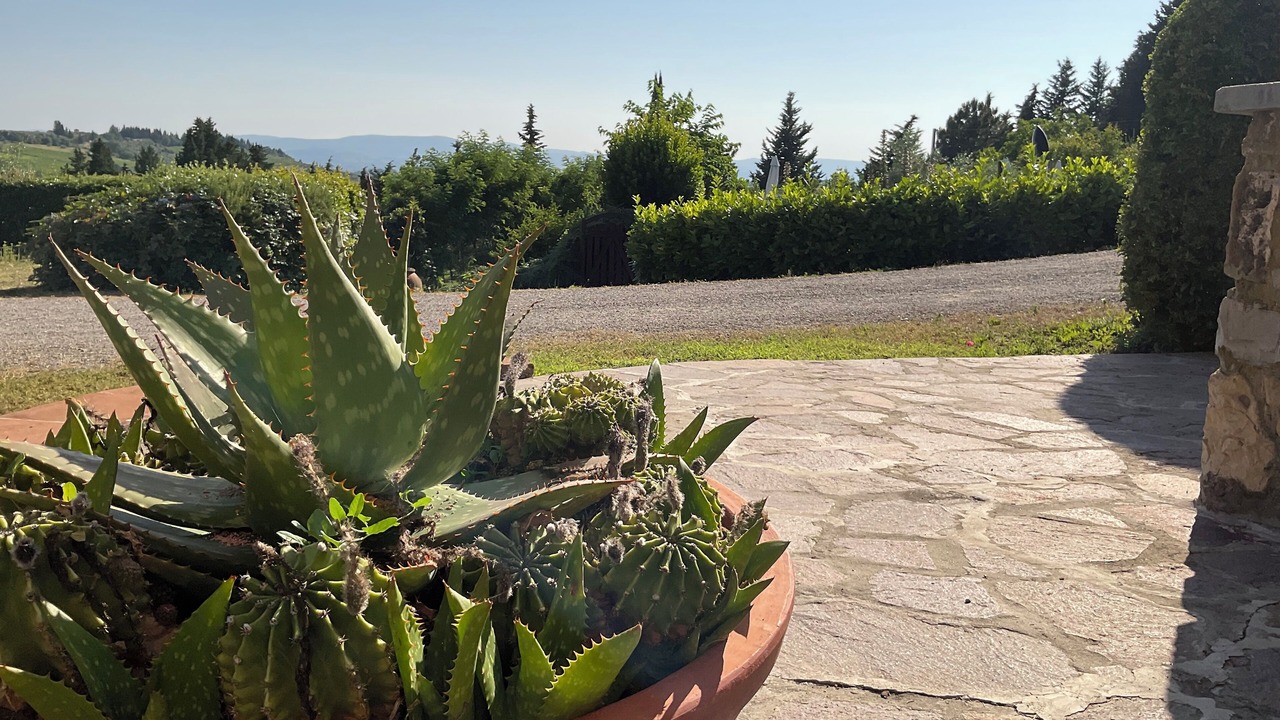 Photo of Outdoor in Tavarnelle Val di Pesa