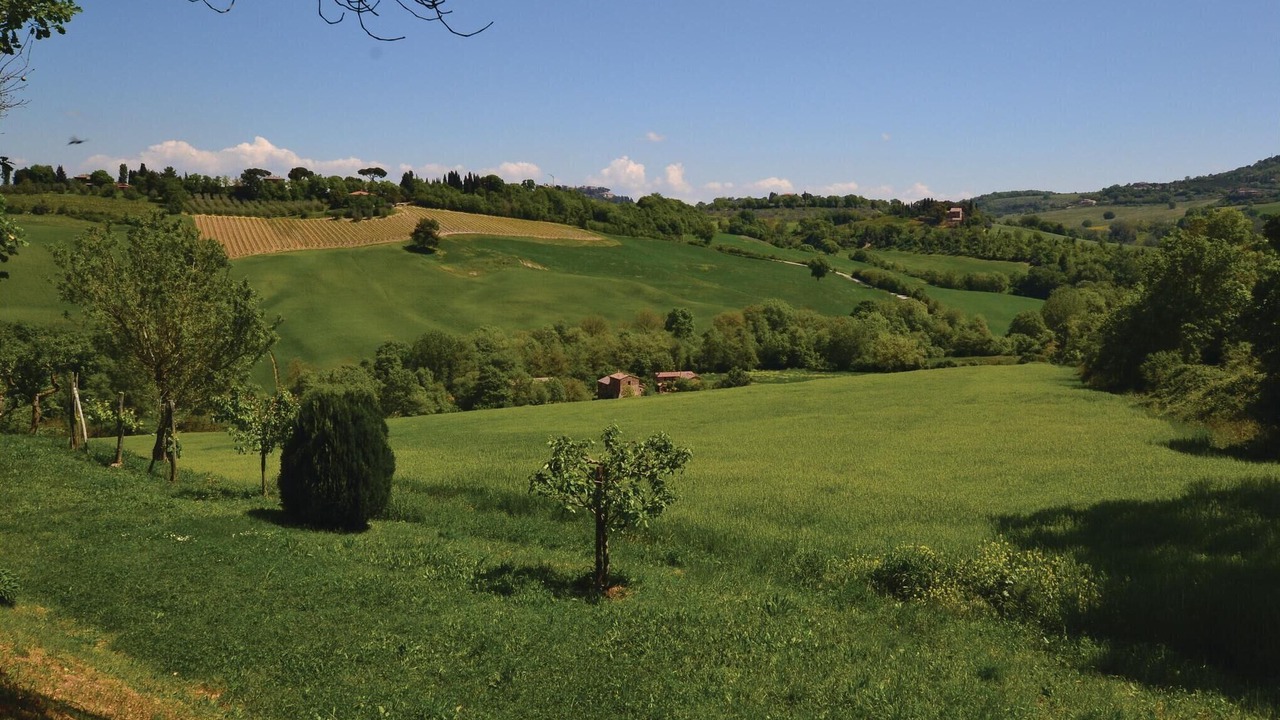Photo of Others in Montepulciano