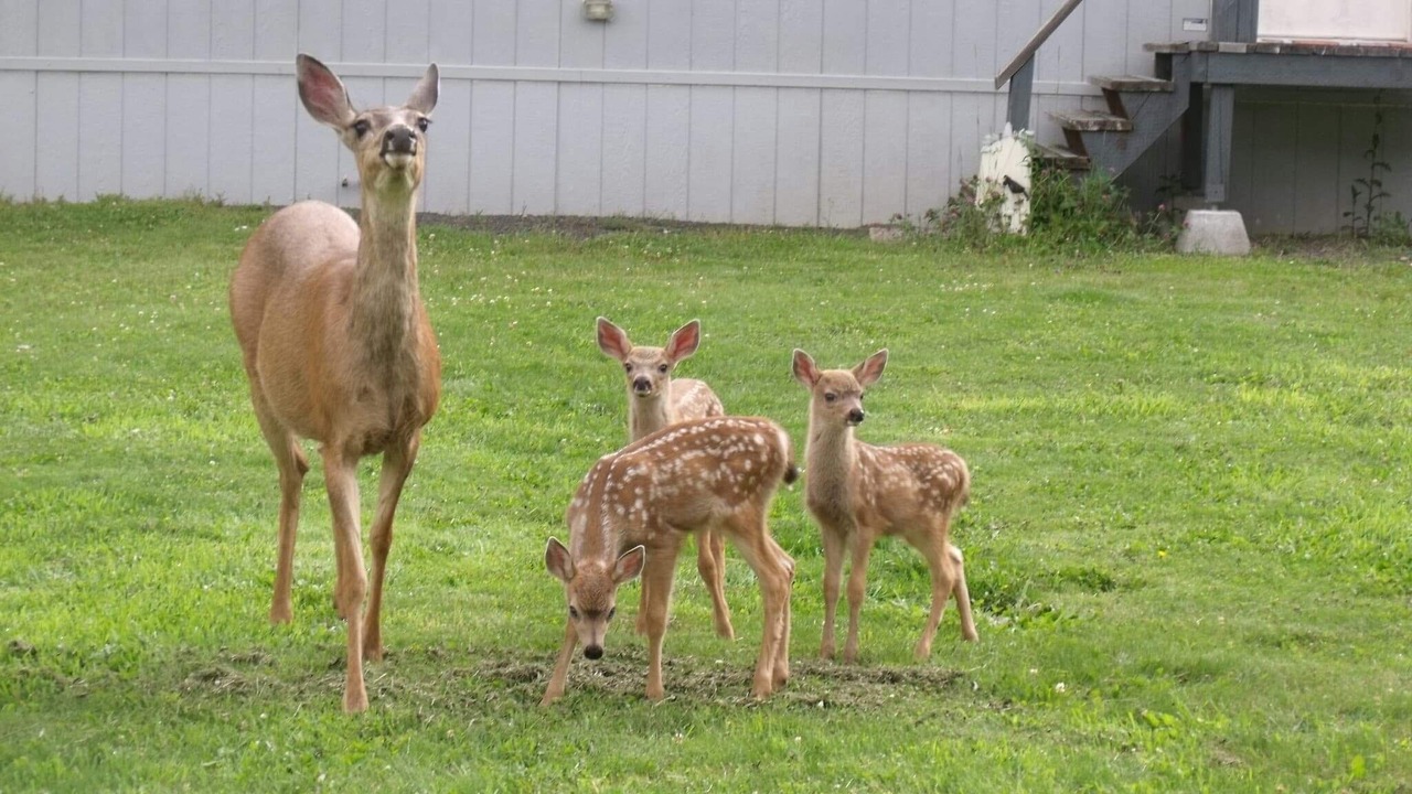 Photo of Outdoor in Willard