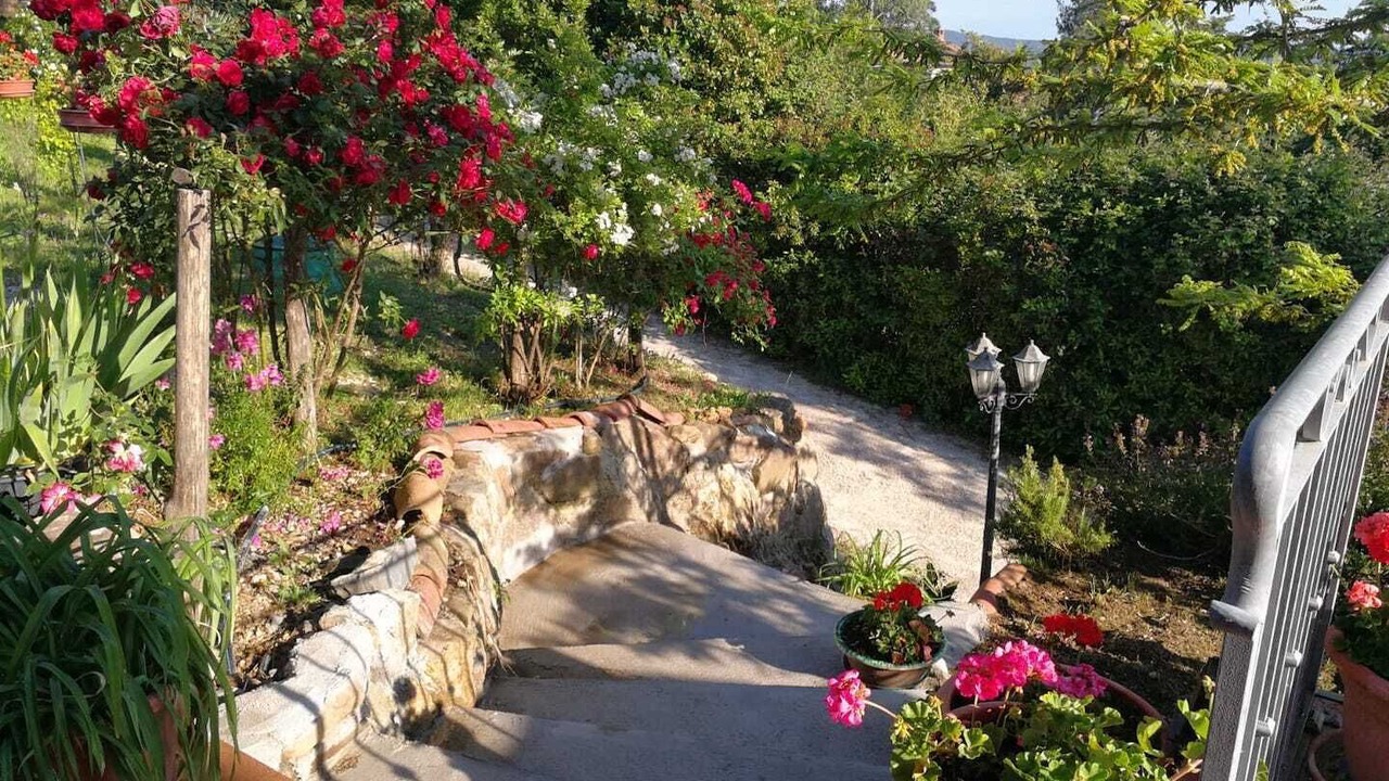 Photo of Outdoor in Monterotondo Marittimo