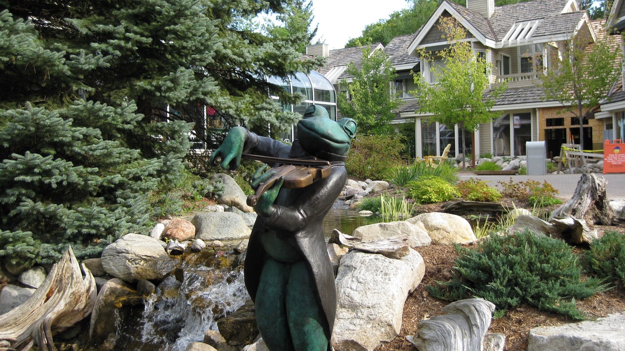 Photo of Others in Maple City