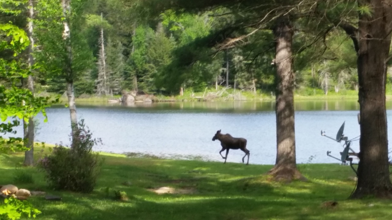 Photo of Outdoor in Olmstedville