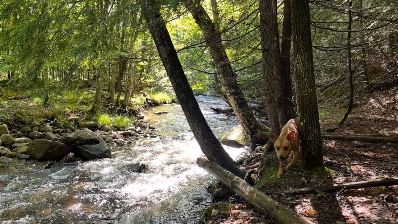 Photo of Others in Keene