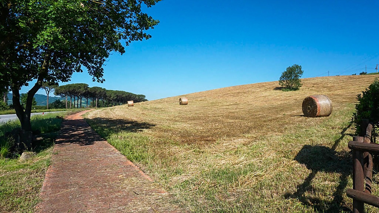 Photo of Others in Montecatini Val di Cecina