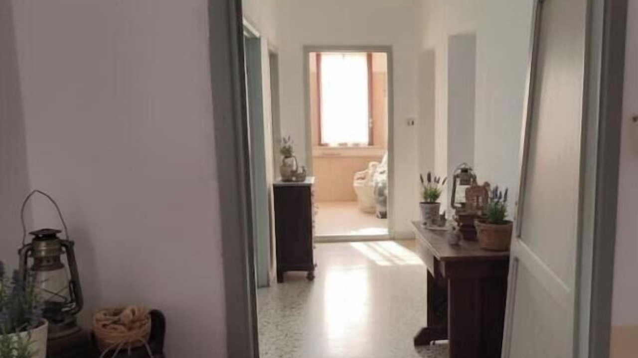 Photo of Others in Montecatini Val di Cecina