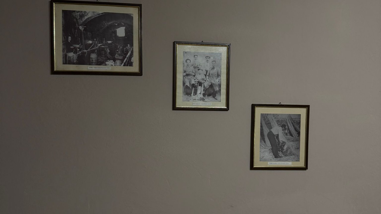 Photo of Others in Viterbo