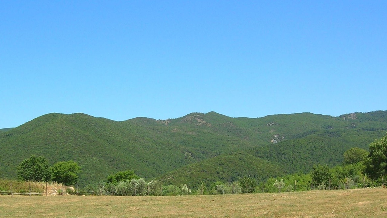 Photo of Others in Castellina Marittima