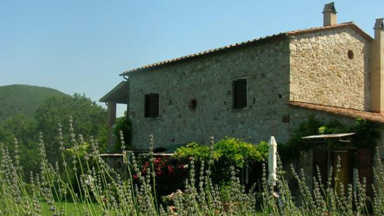 Photo of Others in Castellina Marittima