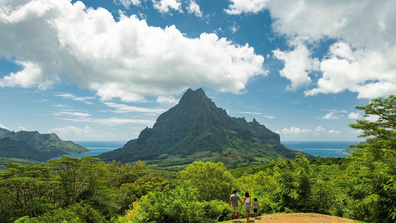 Photo of Others in Pihaena