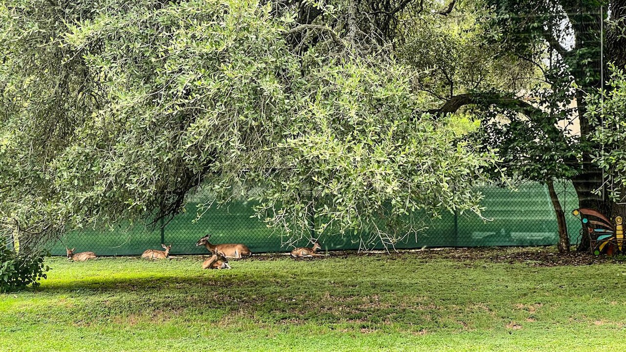 Photo of Outdoor in San Marcos