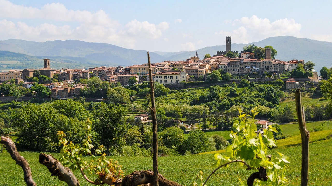 Photo of Others in Ortignano Raggiolo