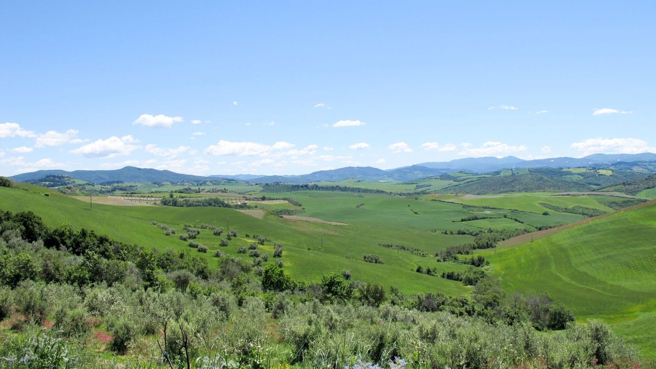 Photo of Others in Saline di Volterra