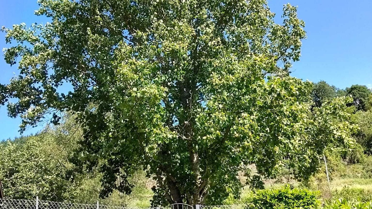 Photo of Outdoor in Starda