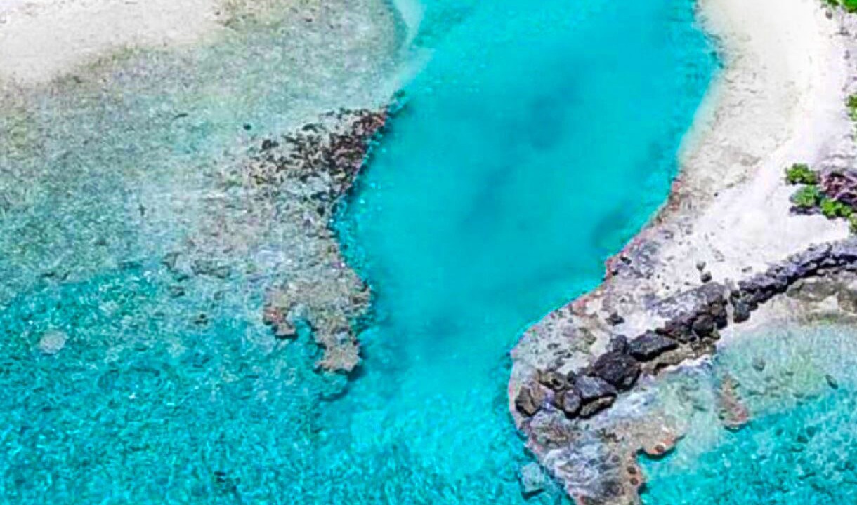 Photo of Others in Rangiroa