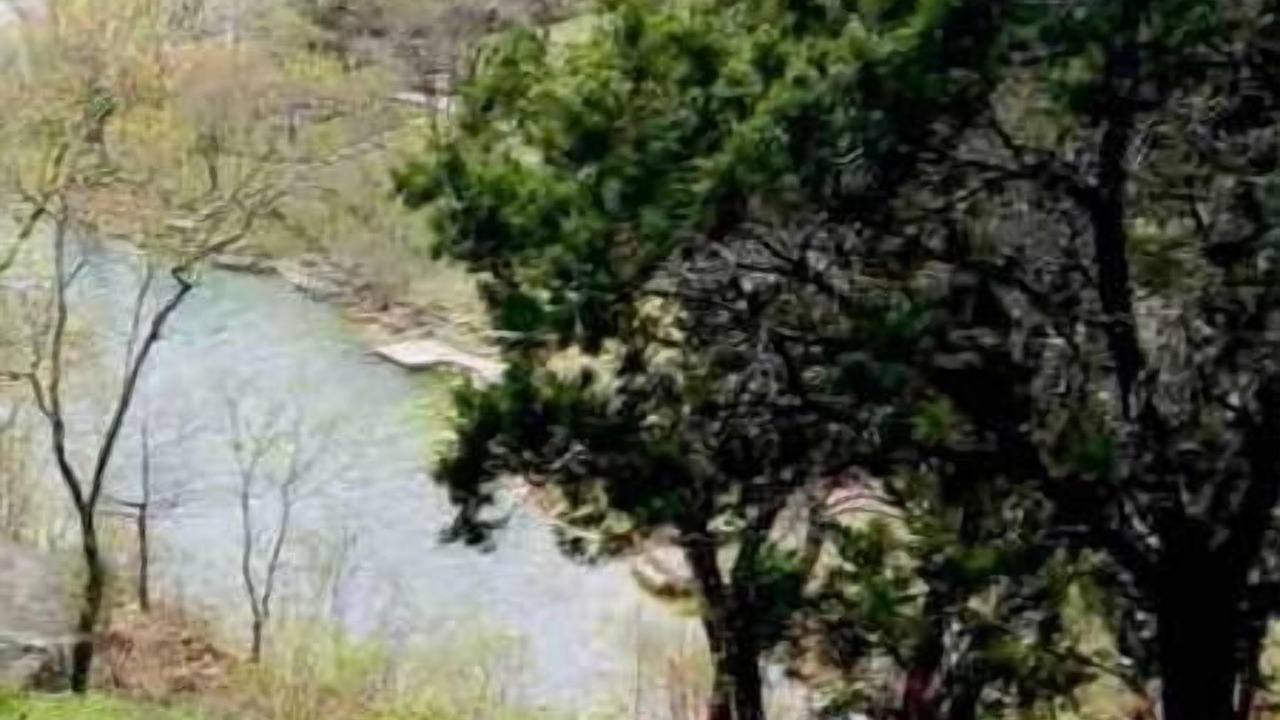 Photo of Others in Canyon Lake