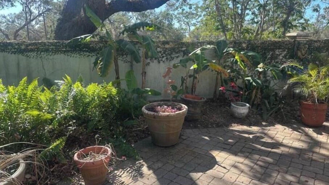 Photo of Outdoor in Lake Sarasota