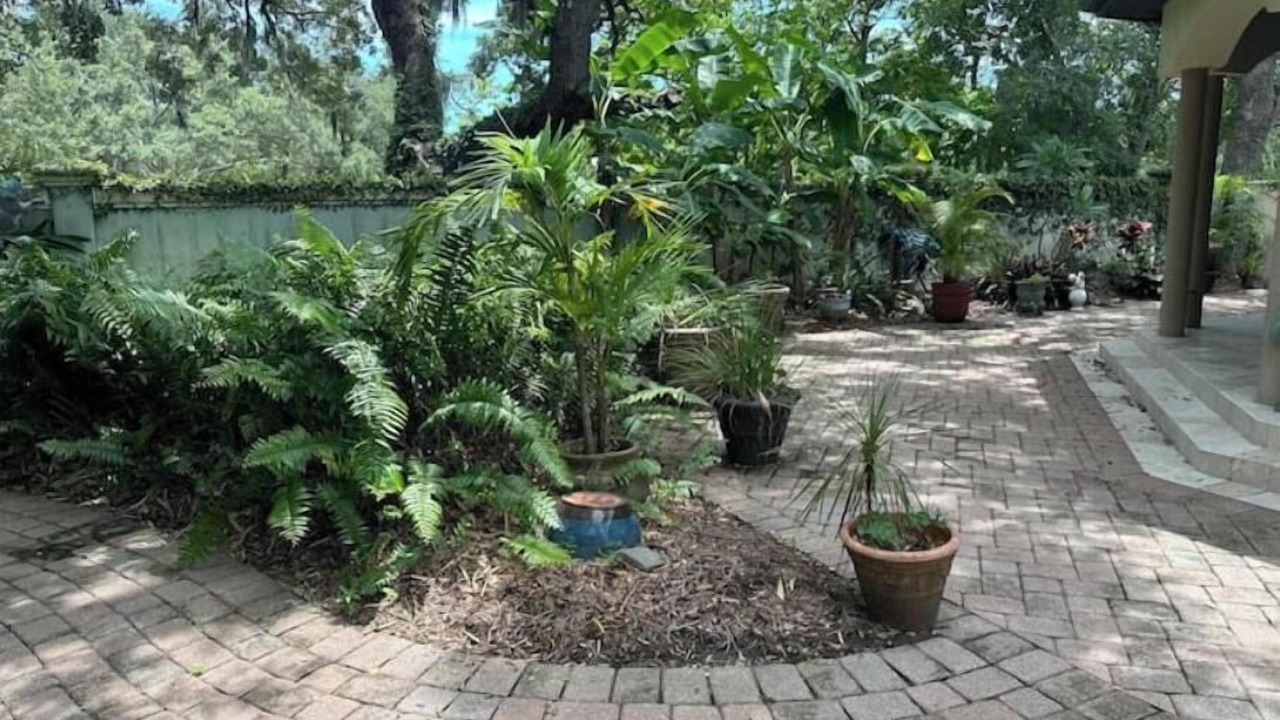 Photo of Outdoor in Lake Sarasota