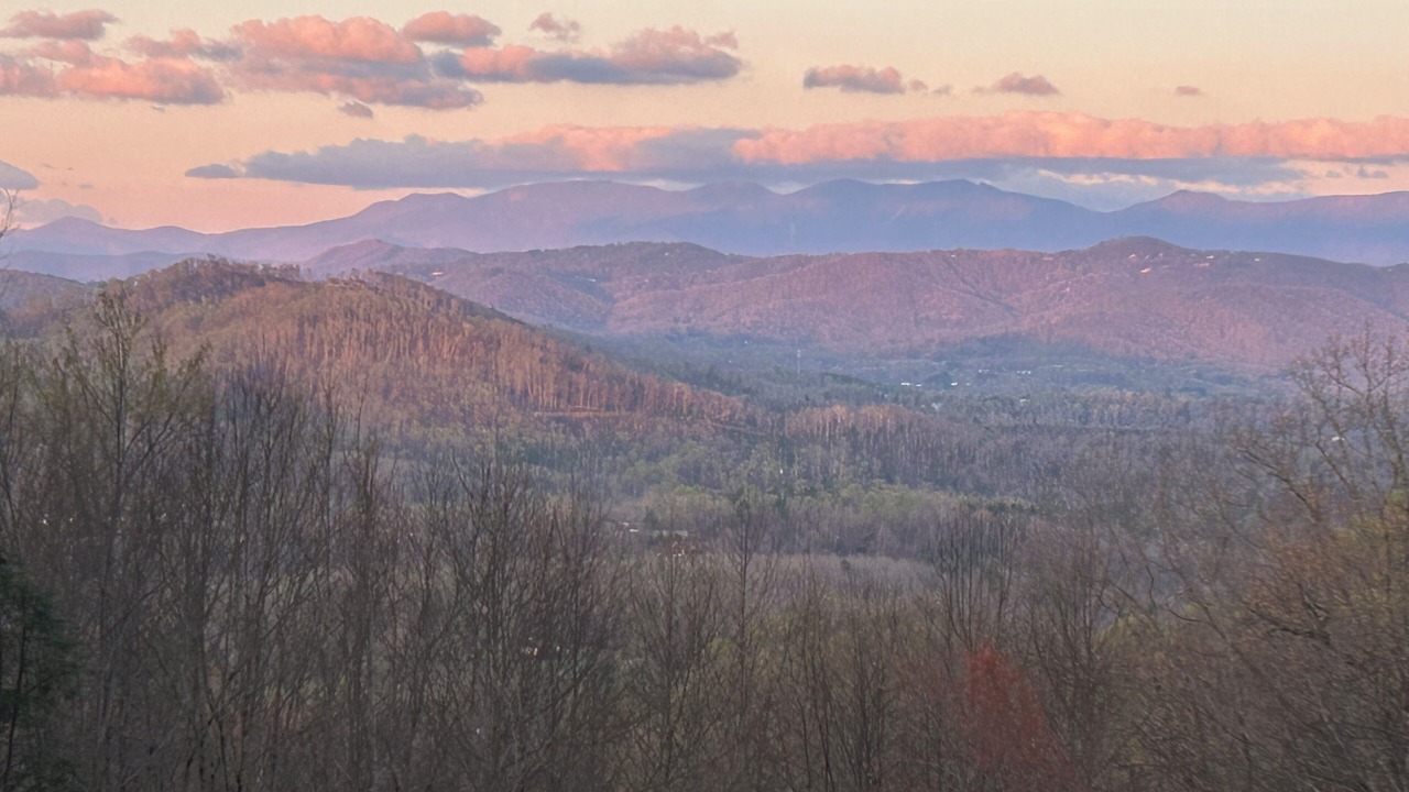 Photo of Others in Spruce Pine