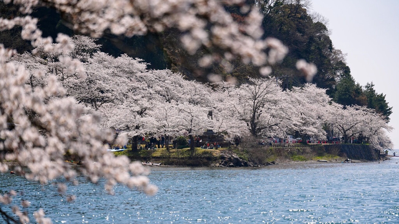 Photo of Others in Shiga Prefecture