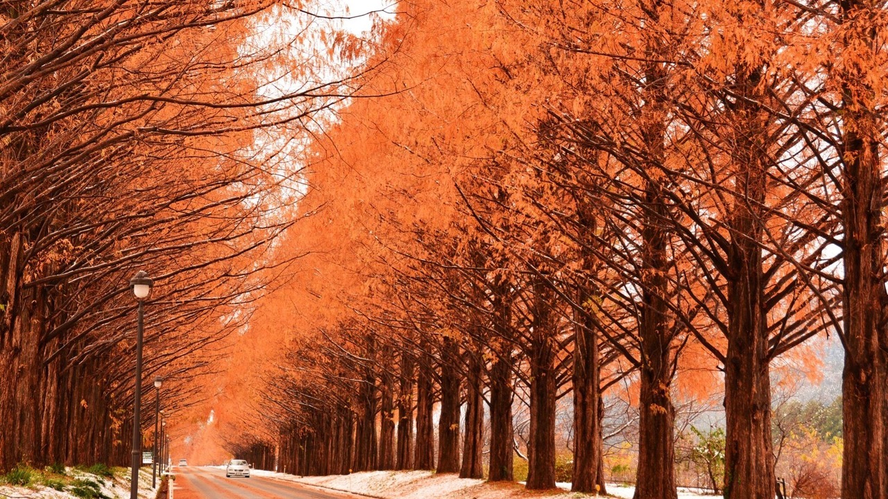 Photo of Others in Shiga Prefecture