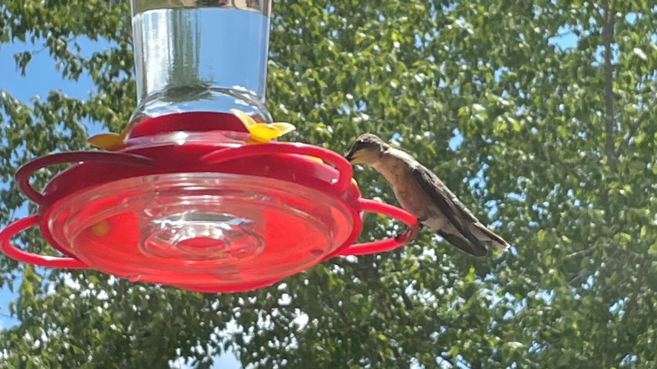 Photo of Others in Murphysboro