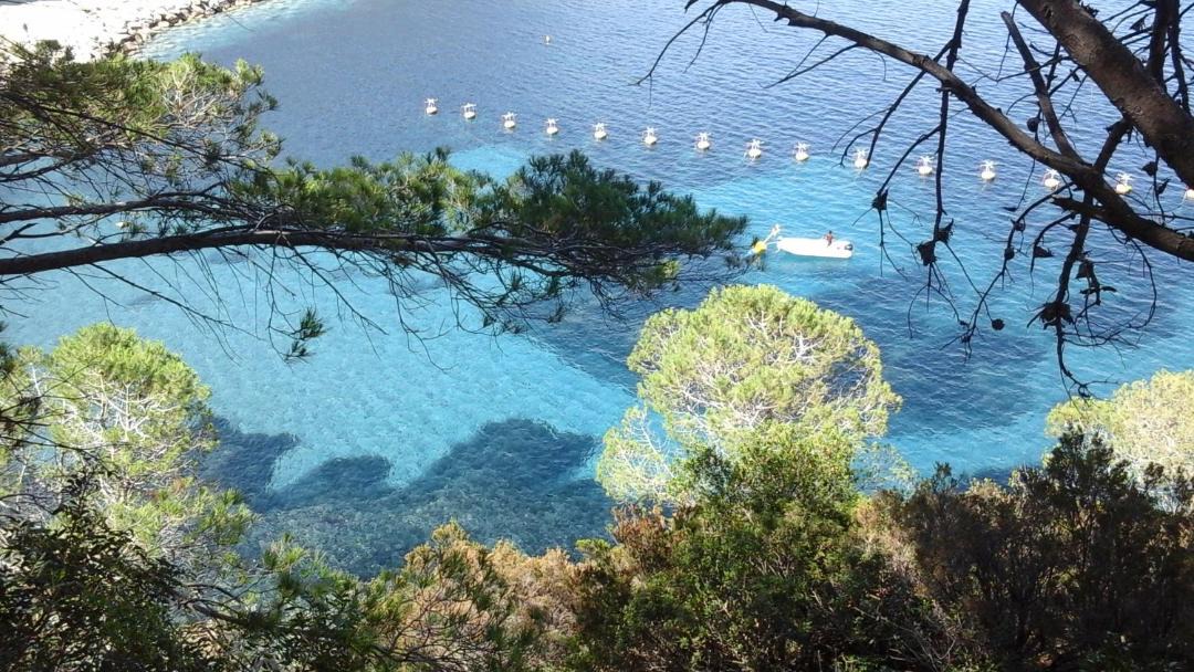 Photo of Others in Capraia