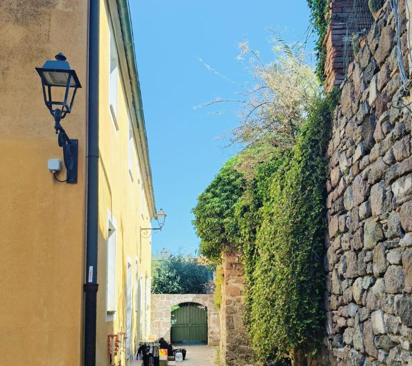 Photo of Others in Capraia Isola