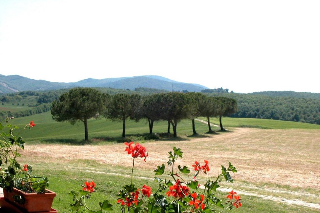 Photo of Others in Collesalvetti