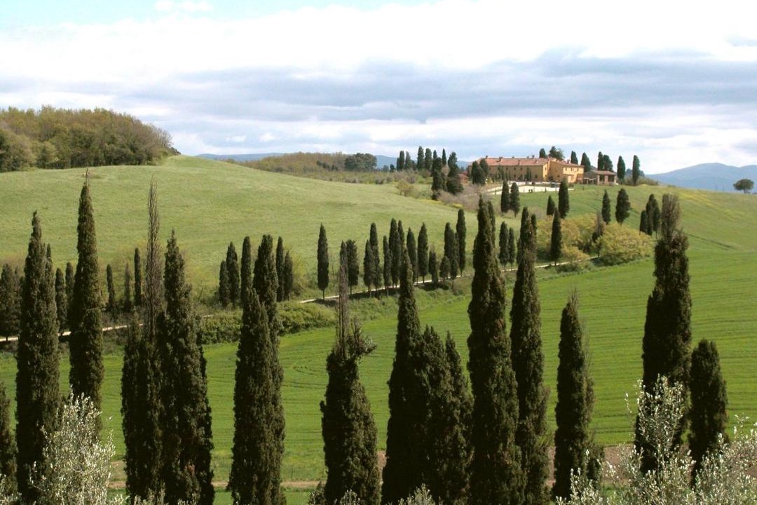 Photo of Others in Collesalvetti